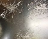 全てレンジ白菜春雨トロトロ生姜チャプチェ作り方10写真