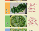白菜の葉の青汁(簡単)作り方3写真