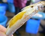 焼きワカサギ作り方11写真
