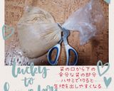 完熟柿の簡単アップルパイ作り方4写真