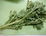 簡単！春菊の切り方作り方1写真