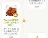 ちょっと本気のスパイスチキンカレー作り方14写真