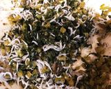 大根菜めし作り方5写真