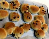 チョコチップパン作り方9写真