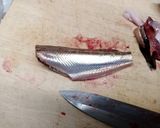 面倒くさがりのためのハタハタ寿司作り方5写真