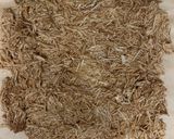 そうめんを余らせないぞ！作り方6写真