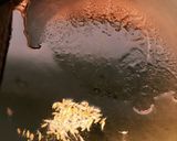 メカジキのスープカレー(ネパール料理)作り方2写真