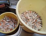面倒くさがりのためのハタハタ寿司作り方21写真