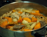 ごぼうと豚肉のごった煮♪作り方3写真