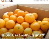 置き方で簡単！みかん長持ちのコツ作り方8写真