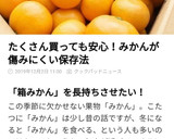 置き方で簡単！みかん長持ちのコツ作り方9写真
