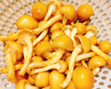 白だしで簡単！春菊となめこのさっと煮作り方2写真