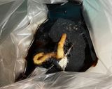 柔らか♪バルサミコ酢漬けの鶏もも肉ソテー作り方3写真