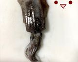 【基本】アオリイカの捌き方(刺身まで)作り方1写真