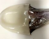 【基本】アオリイカの捌き方(刺身まで)作り方9写真