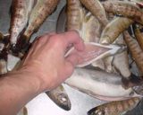 アマゴの甘露煮圧力鍋作り方1写真