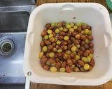 銀杏の殻割りと薄皮の剥ぎ方作り方3写真
