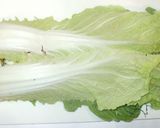 昆布ミルフィーユ鍋♪簡単作り方8写真