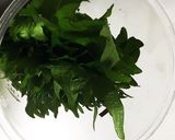 シソ(大葉)の保存方法作り方1写真