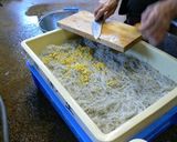 シラウオの塩辛作り方9写真