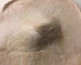 酒種饅頭風あんぱん作り方7写真
