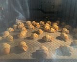 かぼちゃのひとくちパイ作り方11写真