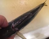 ハサミと骨抜きでかんたん鯵の3枚おろし作り方8写真