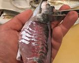 ハサミと骨抜きでかんたん鯵の3枚おろし作り方9写真