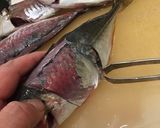 ハサミと骨抜きでかんたん鯵の3枚おろし作り方10写真