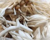 トマト鍋作り方4写真