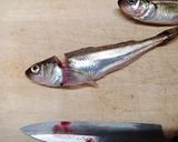 ハタハタの一夜干し作り方1写真