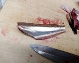 ハタハタの一夜干し作り方4写真