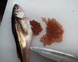 普通じゃない ぶりこの醤油漬け作り方2写真