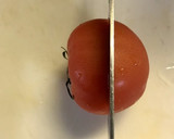 トマトの種が崩れない切り方作り方1写真