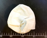 お手軽に水々しく★大根の保存方法作り方2写真