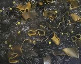 乾海苔と昆布の佃煮作り方2写真