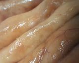 鶴橋の魚屋岩村商店直伝保存できる鯛の子作り方2写真