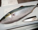ワラサによるユッケのフリしたカルパッチョ作り方1写真