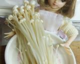 リカちゃん♡手羽先と春雨の鍋☆*｡ﾟ作り方5写真