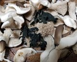 天然ヒラタケの焼きキノコ・バター・果実酒作り方4写真