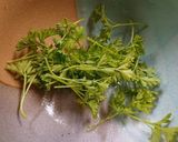 贅沢極み♪あさりと牡蠣の旨味パスタ♪作り方8写真