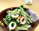 サキいか使って簡単小鉢●ミズナのあえもの作り方3写真