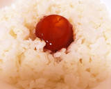 ＊卵黄の醤油漬け♡白いごはんと一緒に＊作り方5写真