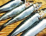 初挑戦でも簡単！美味しいイワシの丸干し♪作り方4写真