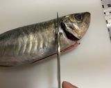 【基本】鯵の捌き方から刺身まで一部始終作り方11写真