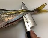 【基本】鯵の捌き方から刺身まで一部始終作り方18写真