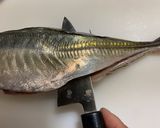 【基本】鯵の捌き方から刺身まで一部始終作り方19写真