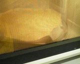 レンジで5分♪ふわりしっとりロールケーキ作り方6写真