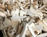 何にでも使える万能なキノコの作り置き作り方1写真