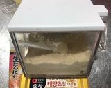 白菜キムチ作り方3写真